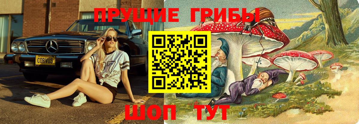 Псилоцибиновые грибы GOLDEN TEACHER  Вход с VPN  Заречный 