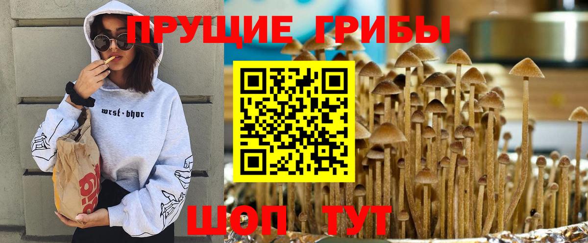 Галлюциногенные грибы мицелий Заречный